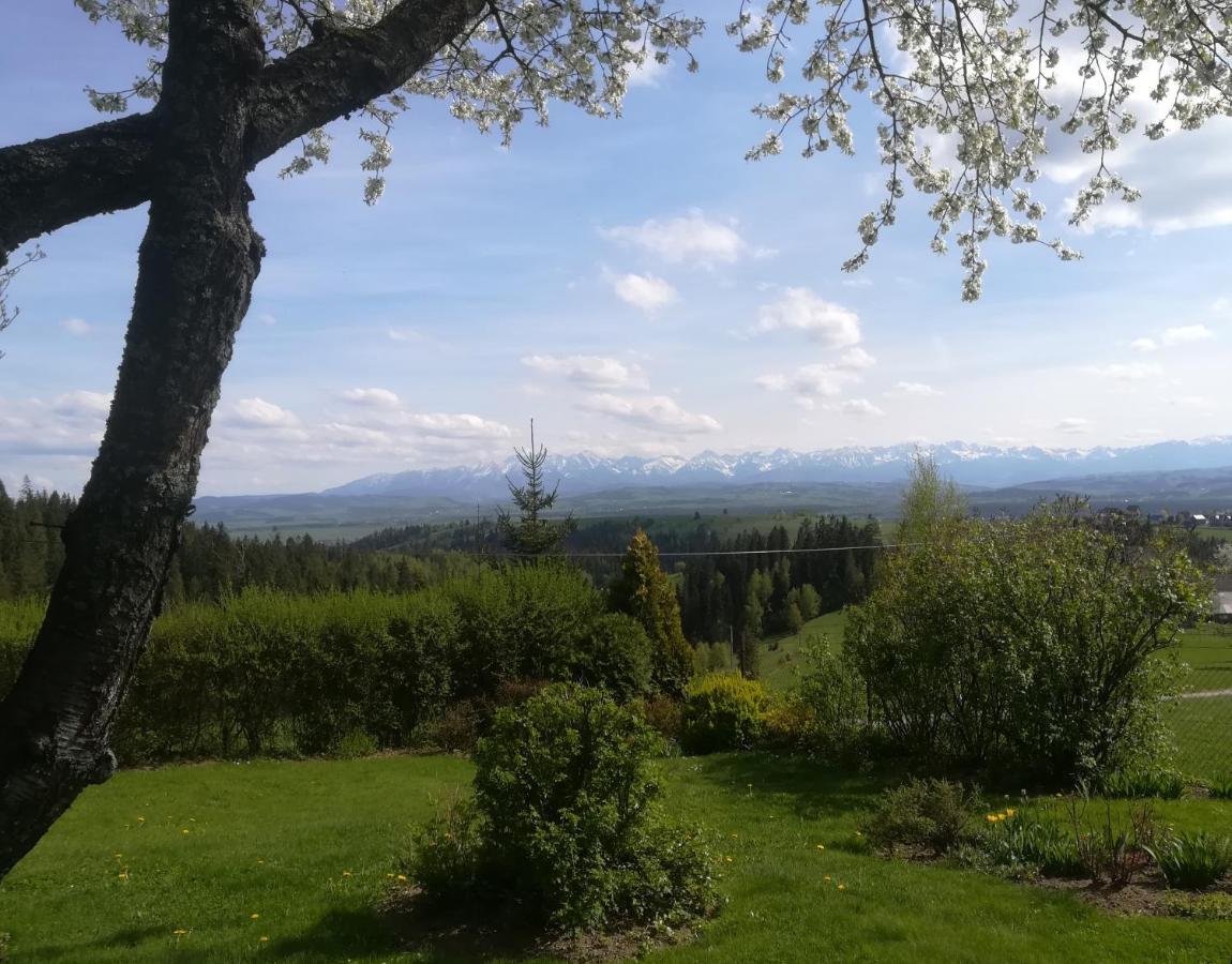 Buflaczanka Новы-Тарг Экстерьер фото